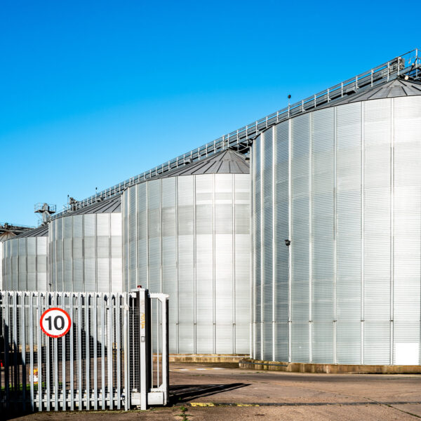 Row of silver grain silos on a bright day at an agricultural storage site.