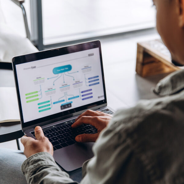 Person viewing a process flowchart on a laptop while planning business continuity procedures.