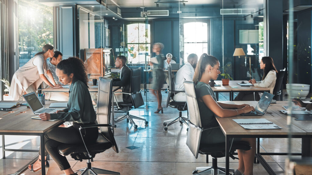 Team working in a bright open-plan office with large windows.